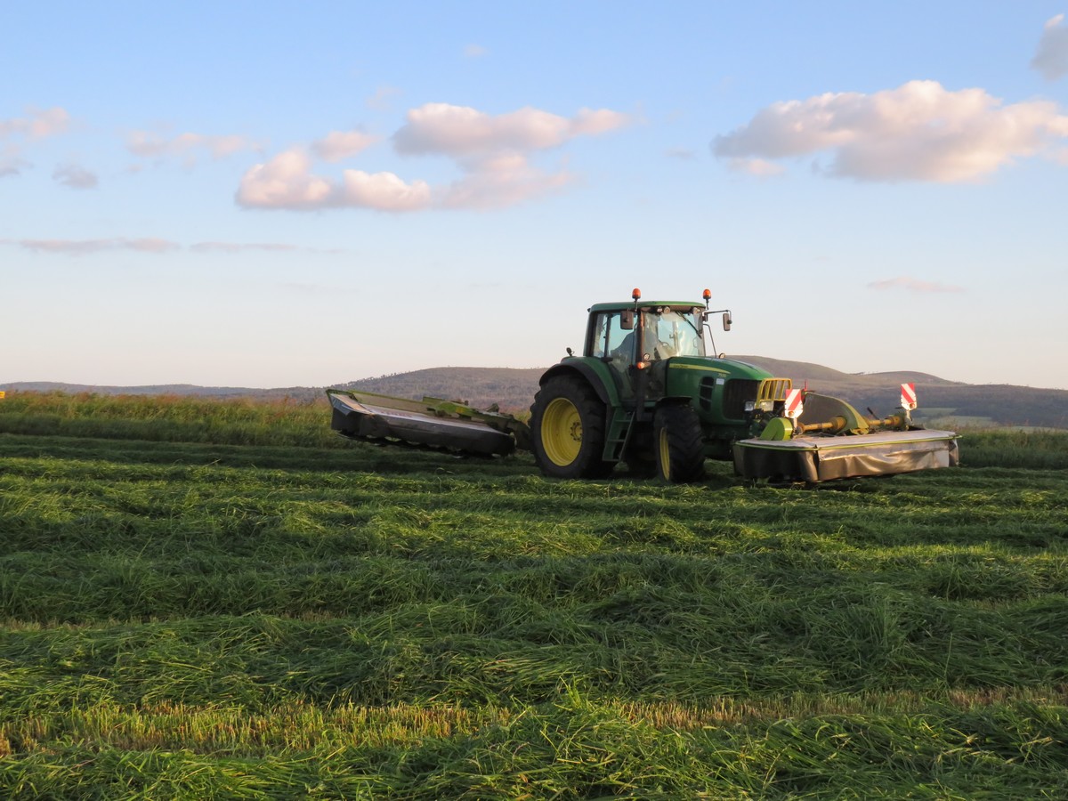 Fauchage herbe